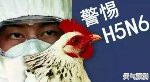 H5N6禽流感全球防控最新动态与应对策略