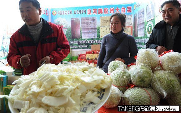 拉萨蔬菜最新价格概览，最新行情解析与比较