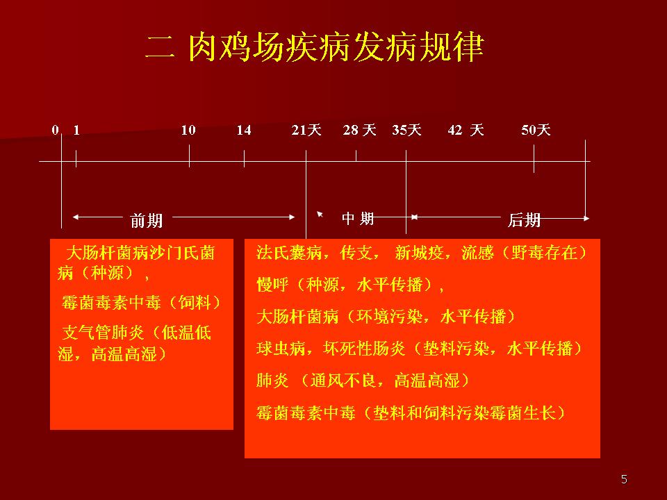 肉鸡最新防疫程序概述